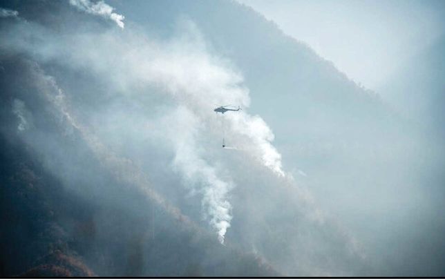 
مهار کامل آتش‌سوزی جنگل‌های الیت پس از ۹ روز