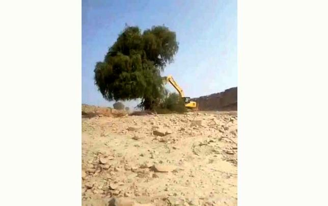 چرا محیط زیست قربانی چابک‌سازی دولت شد؟!