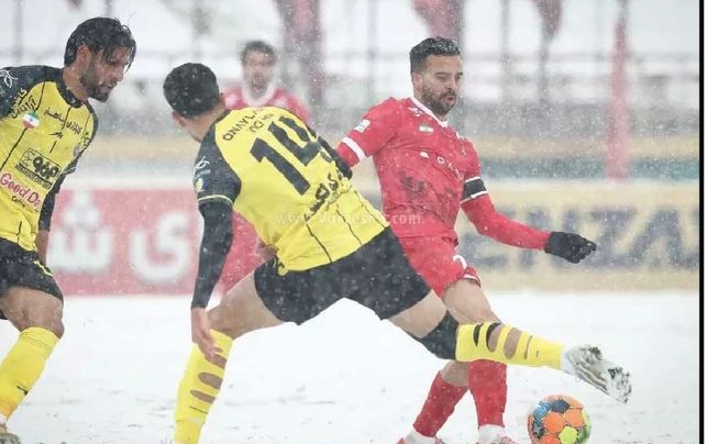 

برد برفی اوسمار