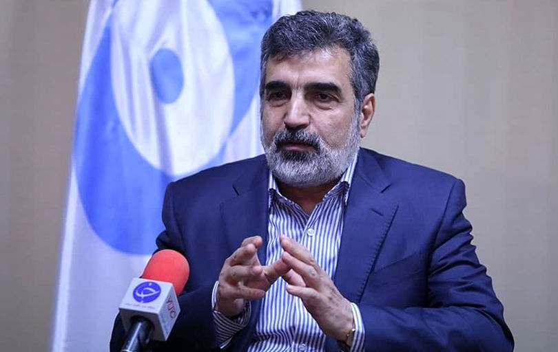 

تمرکز ما بر همکاری هسته‌ای با روسیه است