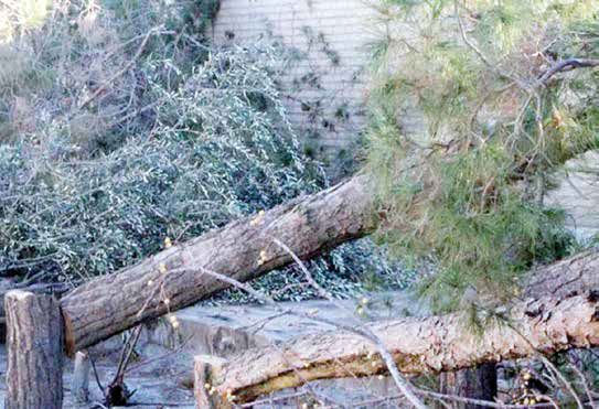 
دهن‌کجی به طبیعت و قانون‌ در مهد علم و پژوهش
