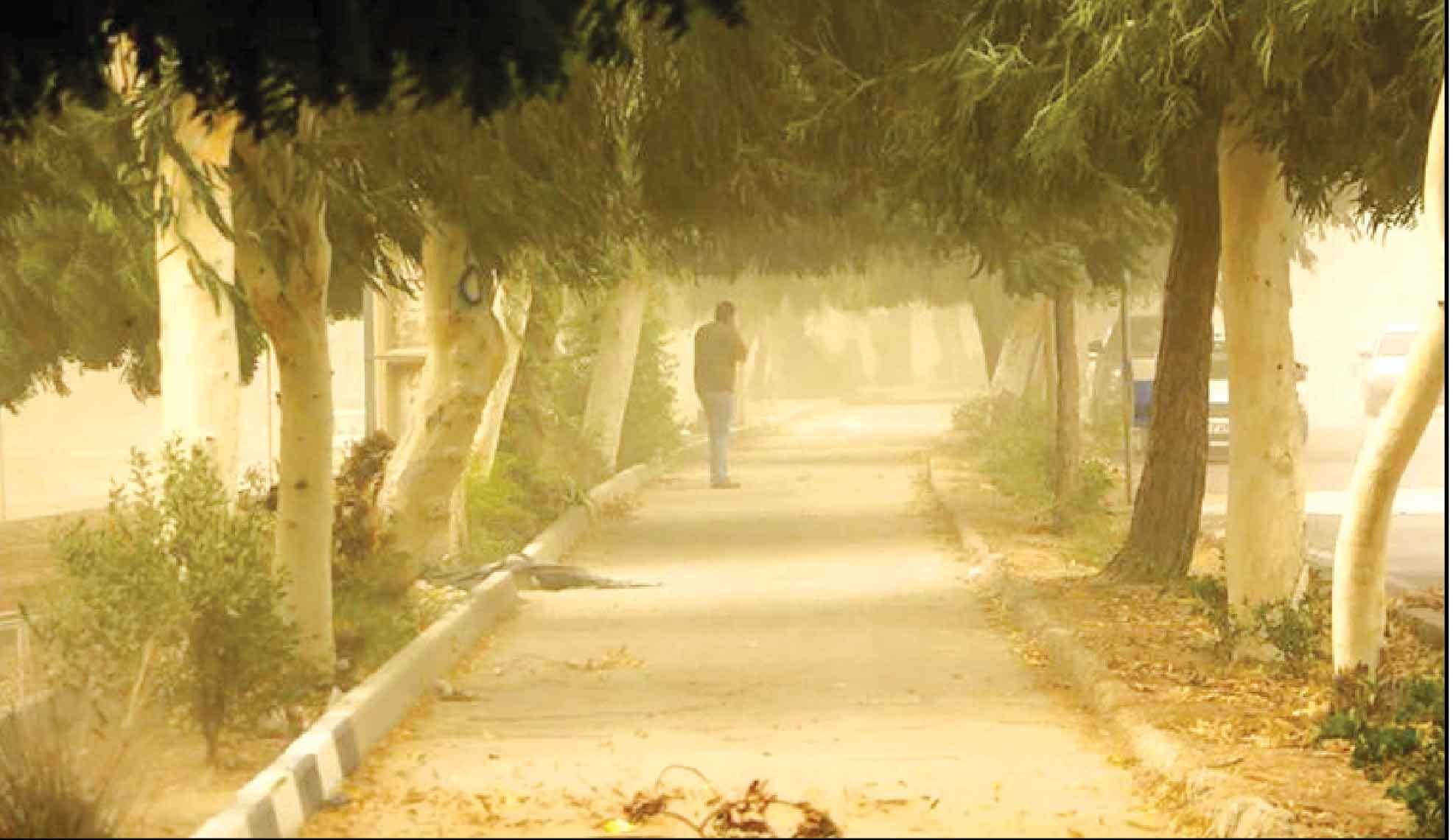 
شهری آلوده برای همه فصل‌ها