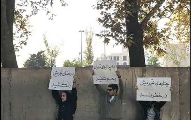 تجمع اعتراضی شهروندان تهرانی 

به قطع درختان تجریش 