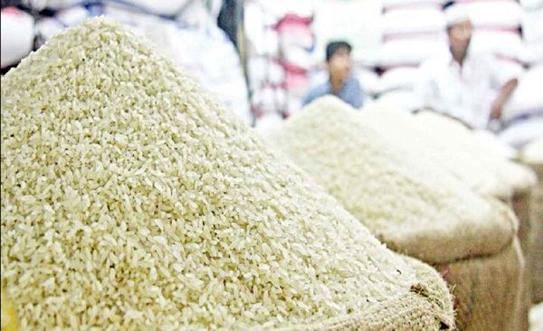 
سیاست وارداتی کنونی به نفع مصرف‌کنندگان برنج نیست