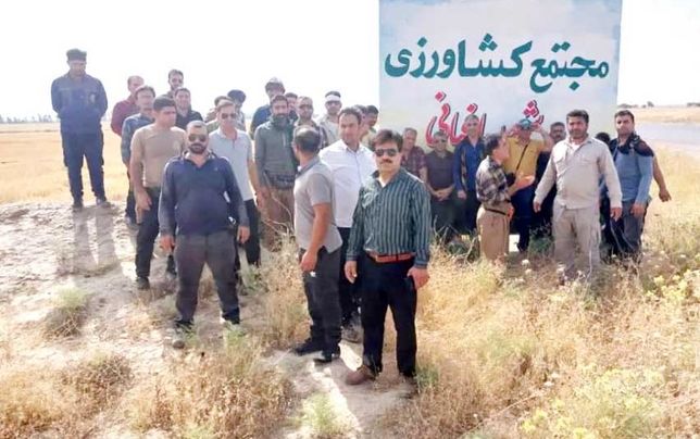 کارگران مجتمع کشت و صنعت باغبانی 

سه ماه مزد طلبکارند