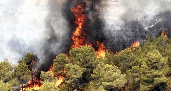 
محیط زیست؛ بی‌پناه در زبانه‌های آتش سیاست