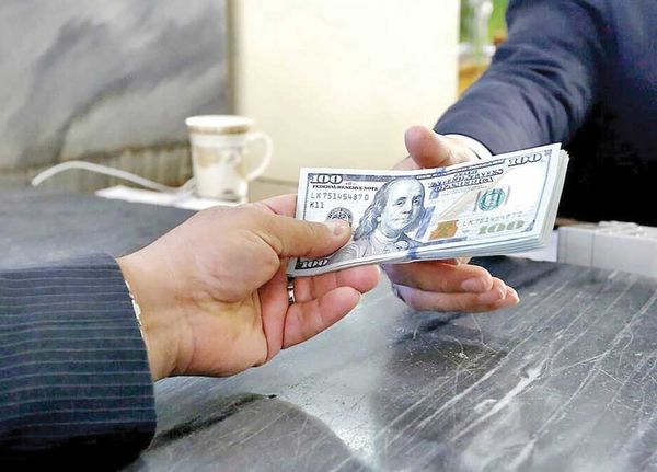 ناکارآمدی در تخصیص ارز؛ گلوگاه مغفول تولید