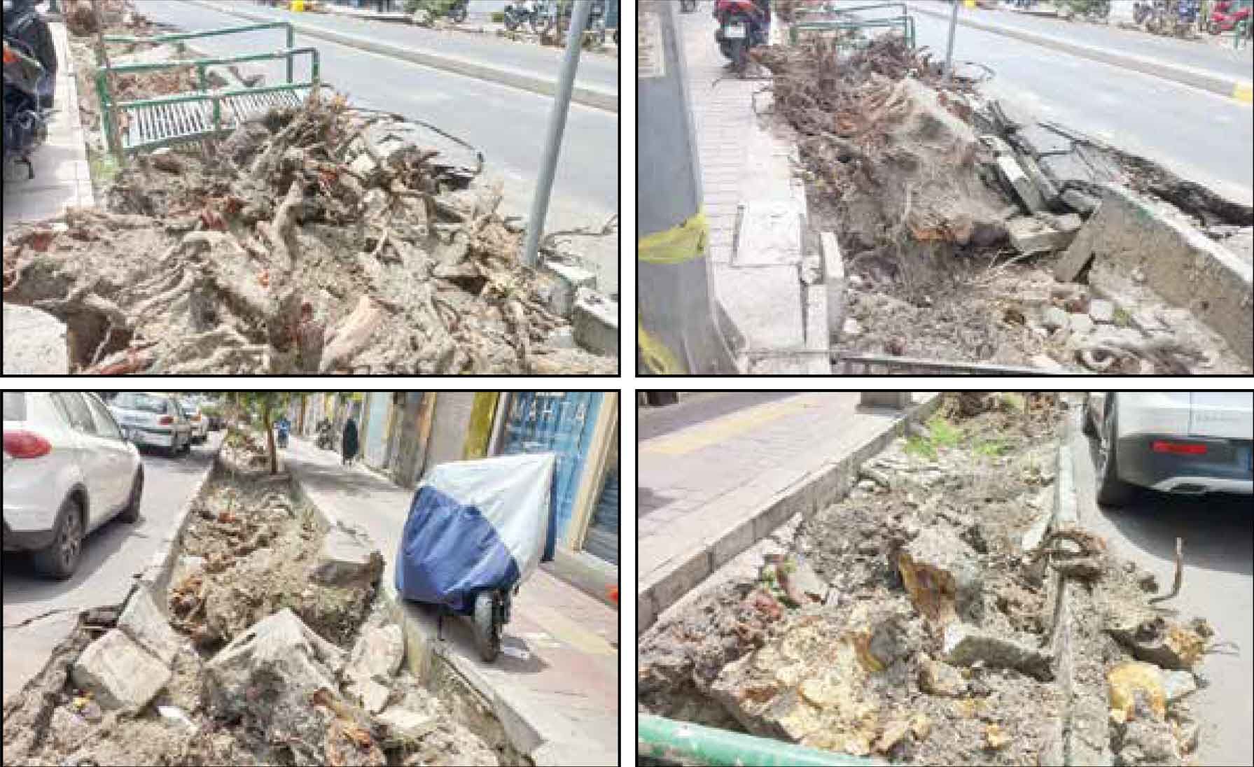 شهرداری منطقه: دلیل؛ درخواست‌های متعدد مردمی بود!
کسبه: درختان را خشک و با بیل مکانیکی ریشه‌کن می‌کنند
