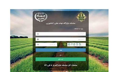 تعداد دلالان در سامانه «بازارگاه» از کل واردکنندگان بیشتر است