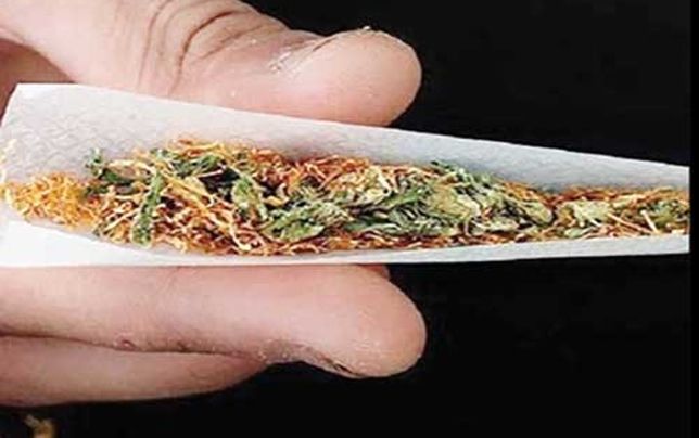 

توهم‌زایی گل در ایران ۱۰برابر اروپاست