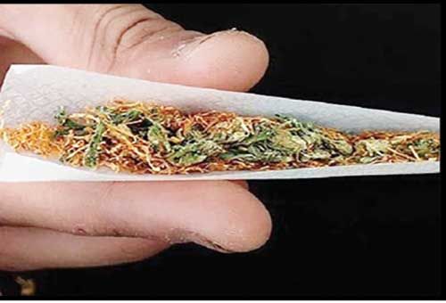 

توهم‌زایی گل در ایران ۱۰برابر اروپاست