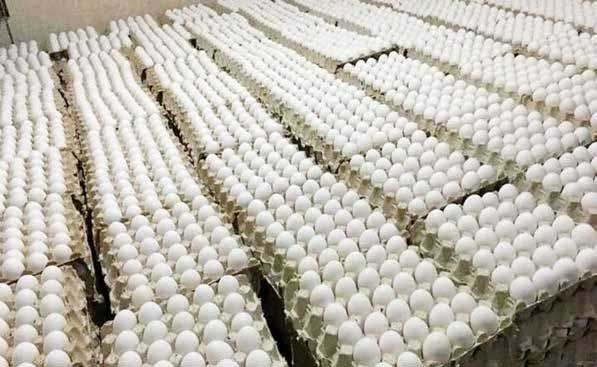 سقف افزایش تخم‌مرغ تا کجاست؟!