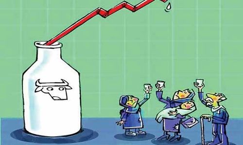 قیمت شیرخام در 5 ماه گذشته به اندازه 60 سال افزایش یافت