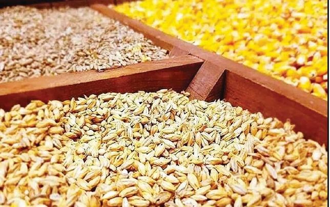 
جولان دلالان موجب شکست سامانه بازارگاه شد