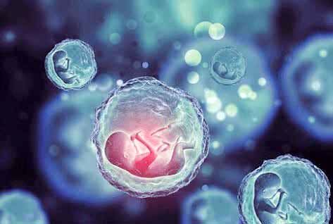 شکست قانون جوانی جمعیت در جدال با مشکلات مبتلا به جامعه