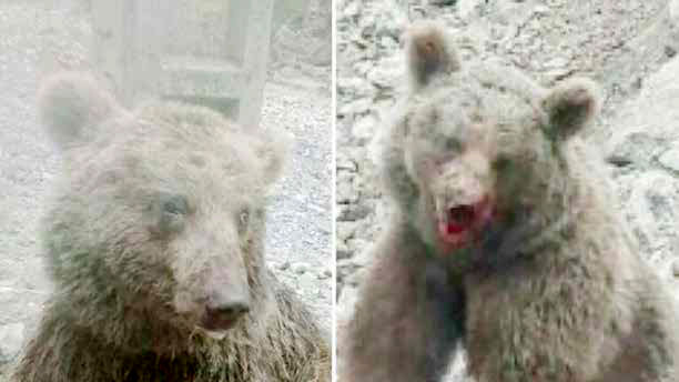 سنگ‌اندازی به جای تیمار!