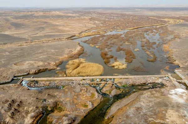 
تامین حق‌آبه برای تالاب یا گرد و غبار برای شهر؟