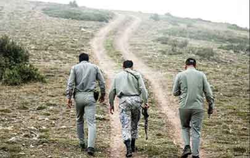 

شهادت ۱۲۴ محیط‌بان؛ یعنی قانون فعلی پاسخگوی نیاز ما نیست
