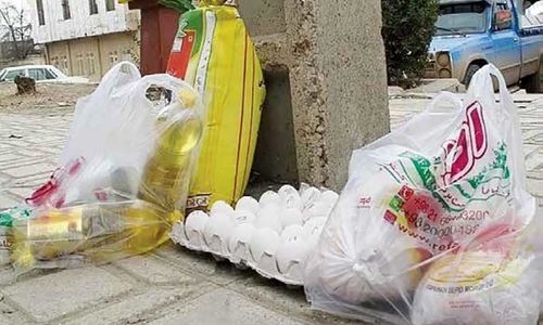 کاهش سهم مواد غذایی از ارز ترجیحی به تورم آن دامن زد