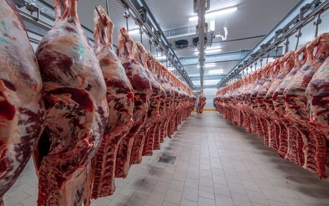 
گوشت مغولستان، ترانزیتی بوده 
و در گمرک توقیف است