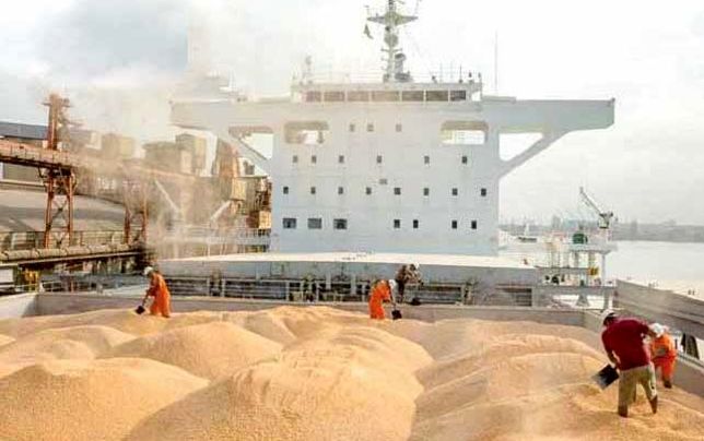 تداوم چالش تامین نهاده به کمبود مرغ میانجامد