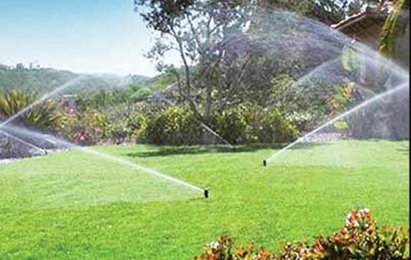 

 برای کاهش مصرف آب، دست از آبیاری فضای سبز تهران بردارید 