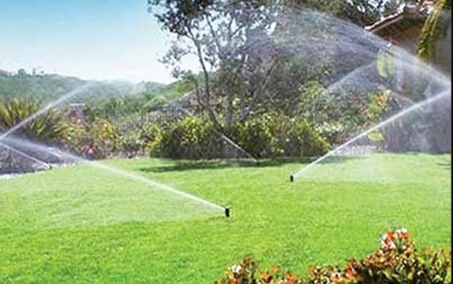 

 برای کاهش مصرف آب، دست از آبیاری فضای سبز تهران بردارید 