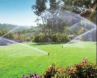 

 برای کاهش مصرف آب، دست از آبیاری فضای سبز تهران بردارید 