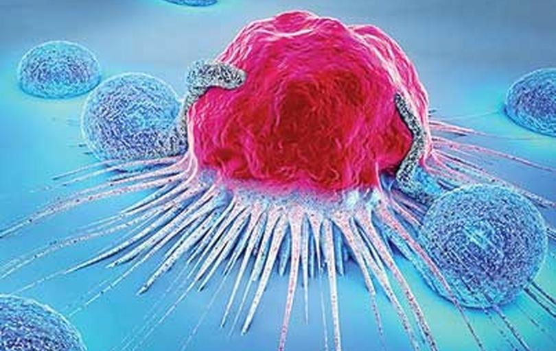 
110 چای‌خانه در تهران؛ حجمی زمخت بر تن اندک فضای سبز شهر