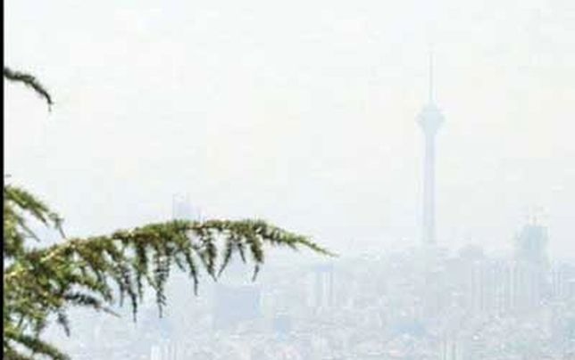 

 سهم هر مدیر در آلودگی هوا 

بررسی می‌شود