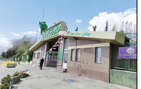انحلال سازمان منابع طبیعی در حکم نابودی محیطزیست ایران است
